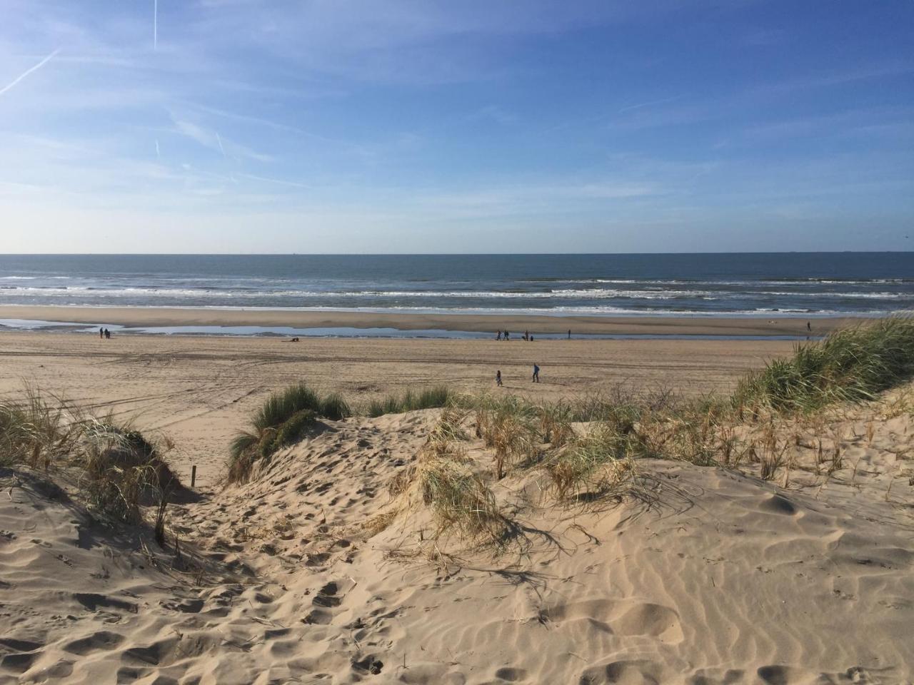 Duynsandt Zandvoort Exteriör bild